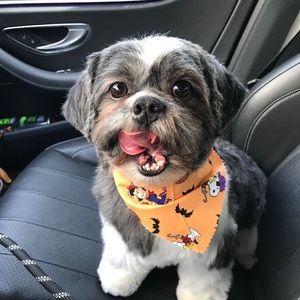 Meet your Posher, Gabby